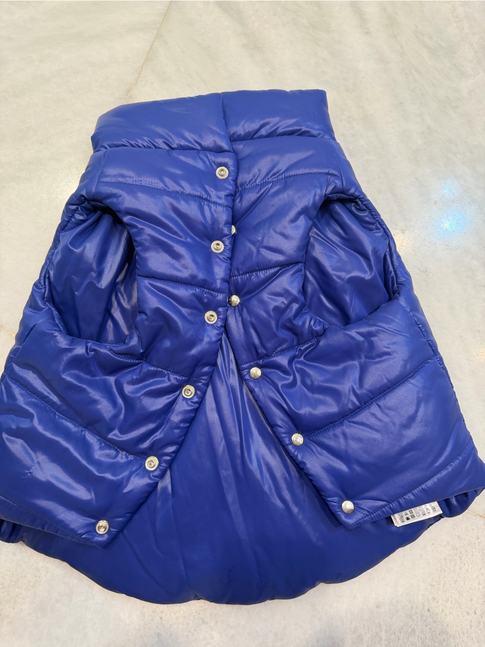 Moncler Dog Puffer Jacket Vest in Bright Blue/Purple